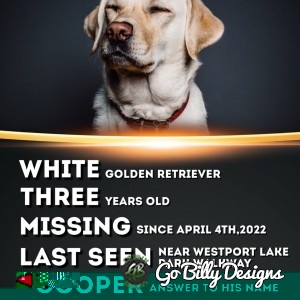 Dog-Cat-Missing-Poster